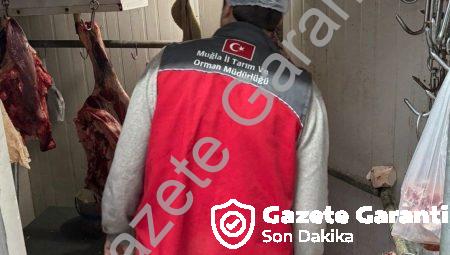 Menteşe’de Gıda Güvenliği Seferberliği: Kasaplara Sıkı Denetim