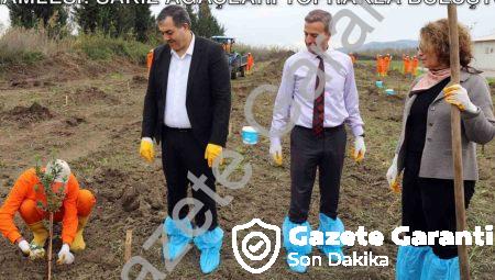 Dalaman Açık Cezaevi’nde Tarımsal Üretim Hamlesi: Sakız Ağaçları Toprakla Buluştu