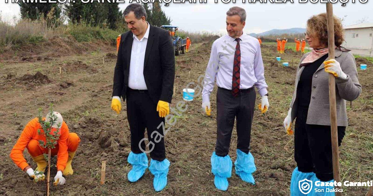 "Dalaman Açık Cezaevi'nde Tarımsal Üretim Hamlesi: Sakız Ağaçları Toprakla Buluştu" başlıklı haber i