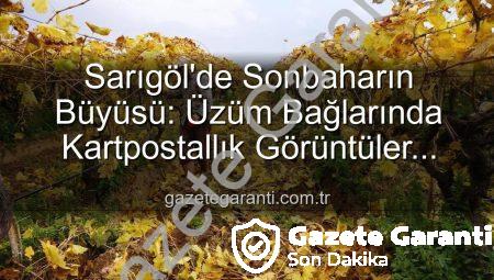 Sarıgöl’de Sonbaharın Büyüsü: Üzüm Bağlarında Kartpostallık Görüntüler Eşliğinde Budama Zamanı