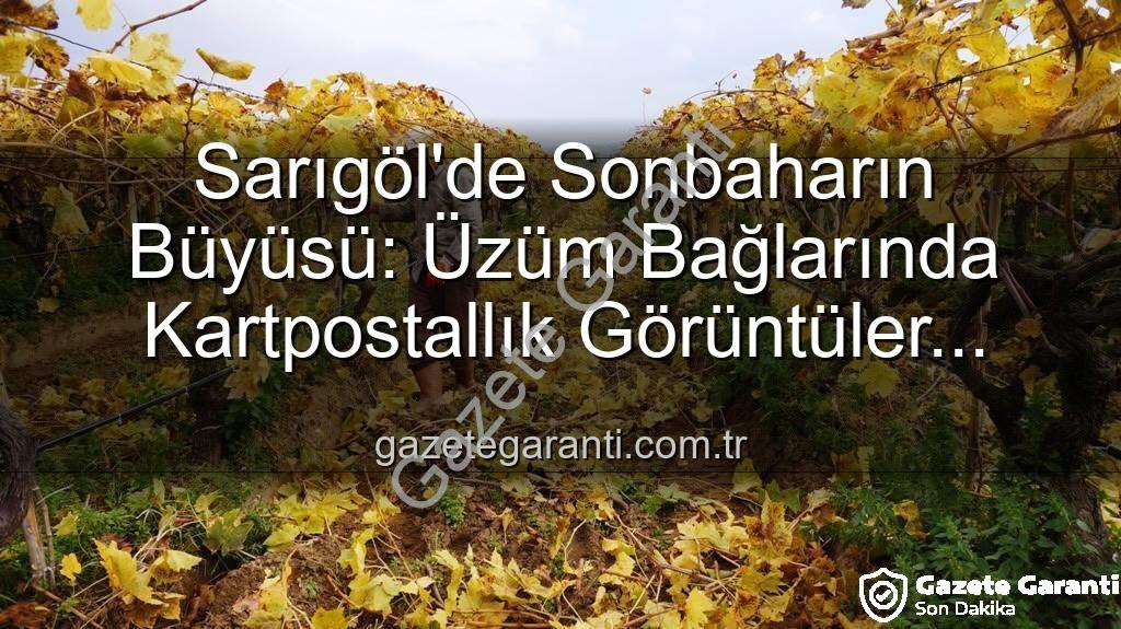 Sarıgöl'de budama - Sarıgöl'de Sonbaharın Büyüsü: Üzüm Bağlarında Kartpostallık Görüntüler Eşliğinde Budama Zamanı