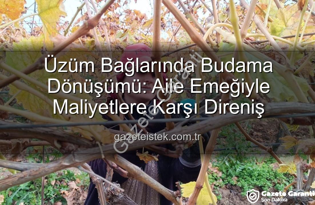 budama maliyeti - Üzüm Bağlarında Budama Maliyeti Üreticileri Aile Emeğine Yöneltti: Sarıgöl'de Yeni Dönem