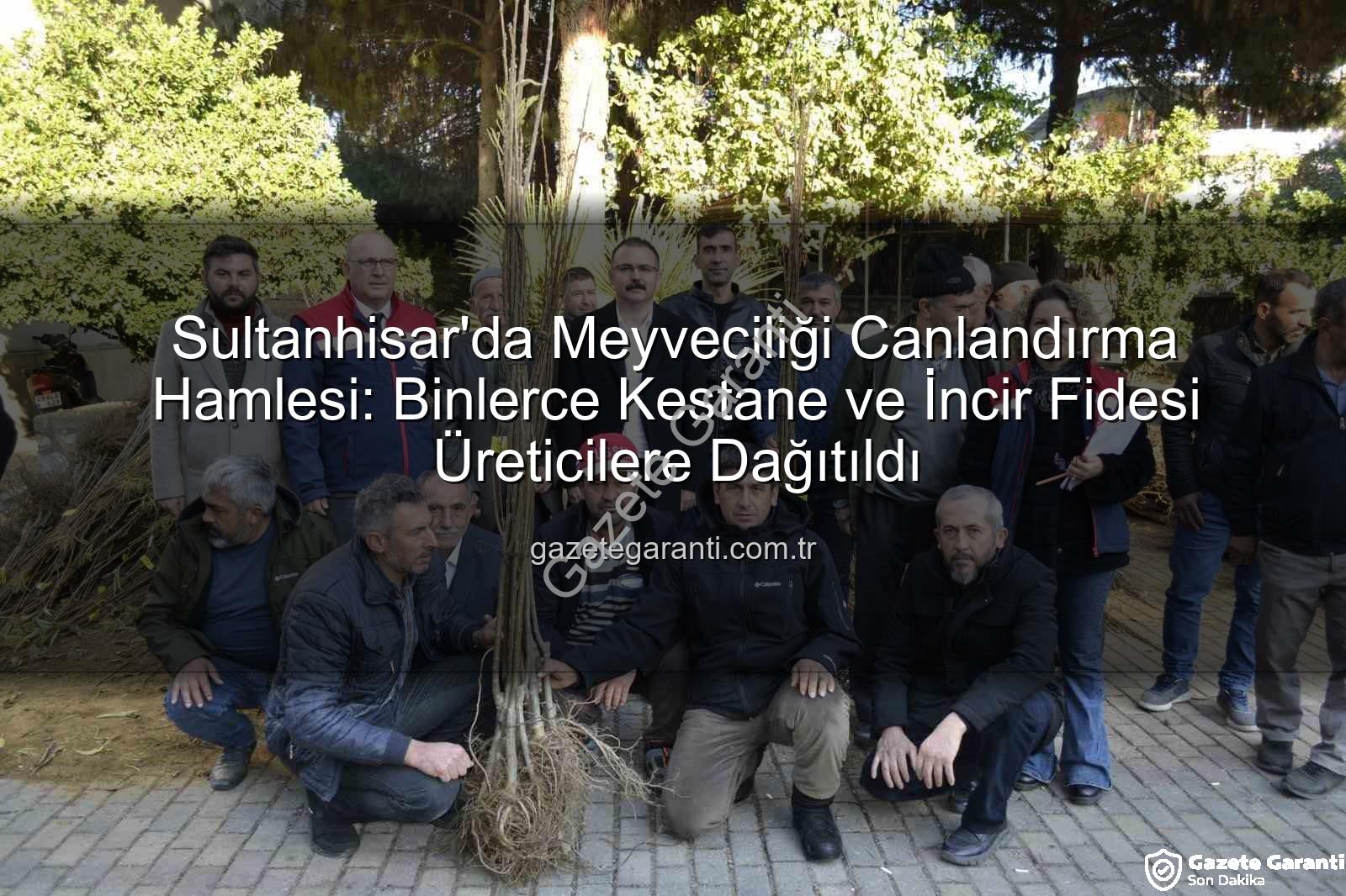kestane incir fidesi - Sultanhisar'da Meyveciliği Canlandırma Hamlesi: Binlerce Kestane ve İncir Fidesi Üreticilere Dağıtıldı