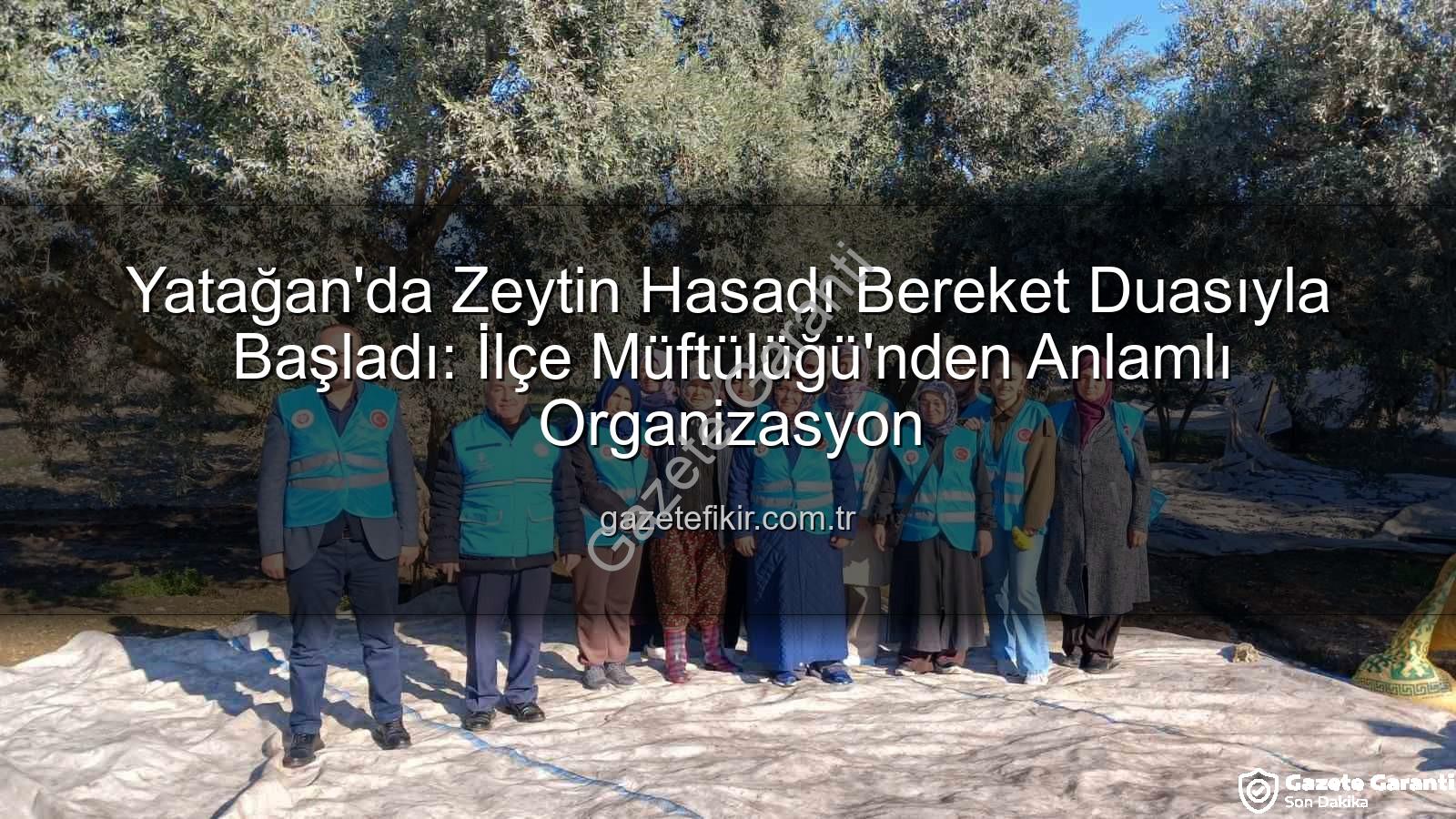 zeytin hasadı - Yatağan'da Zeytin Hasadı Bereket Duasıyla Başladı: Bereketli Bir Sezon İçin Kuran Kursu Öğrencileri de Sahadaydı