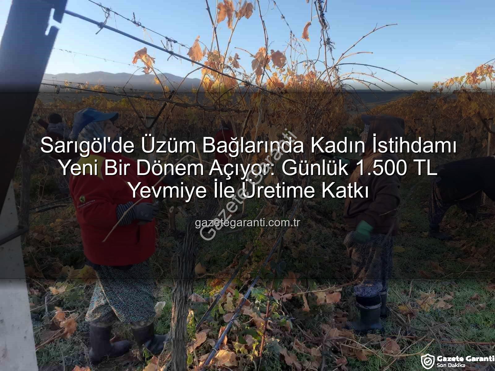 kadın istihdamı - Sarıgöl'de Üzüm Bağlarında Kadın İstihdamı Yeni Bir Dönem Açıyor: Günlük 1.500 TL Yevmiye İle Üretime Katkı