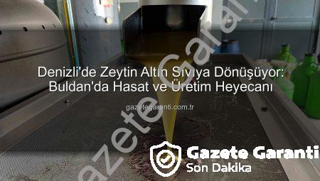Denizli’de Zeytin Altın Sıvıya Dönüşüyor: Buldan’da Hasat ve Üretim Heyecanı