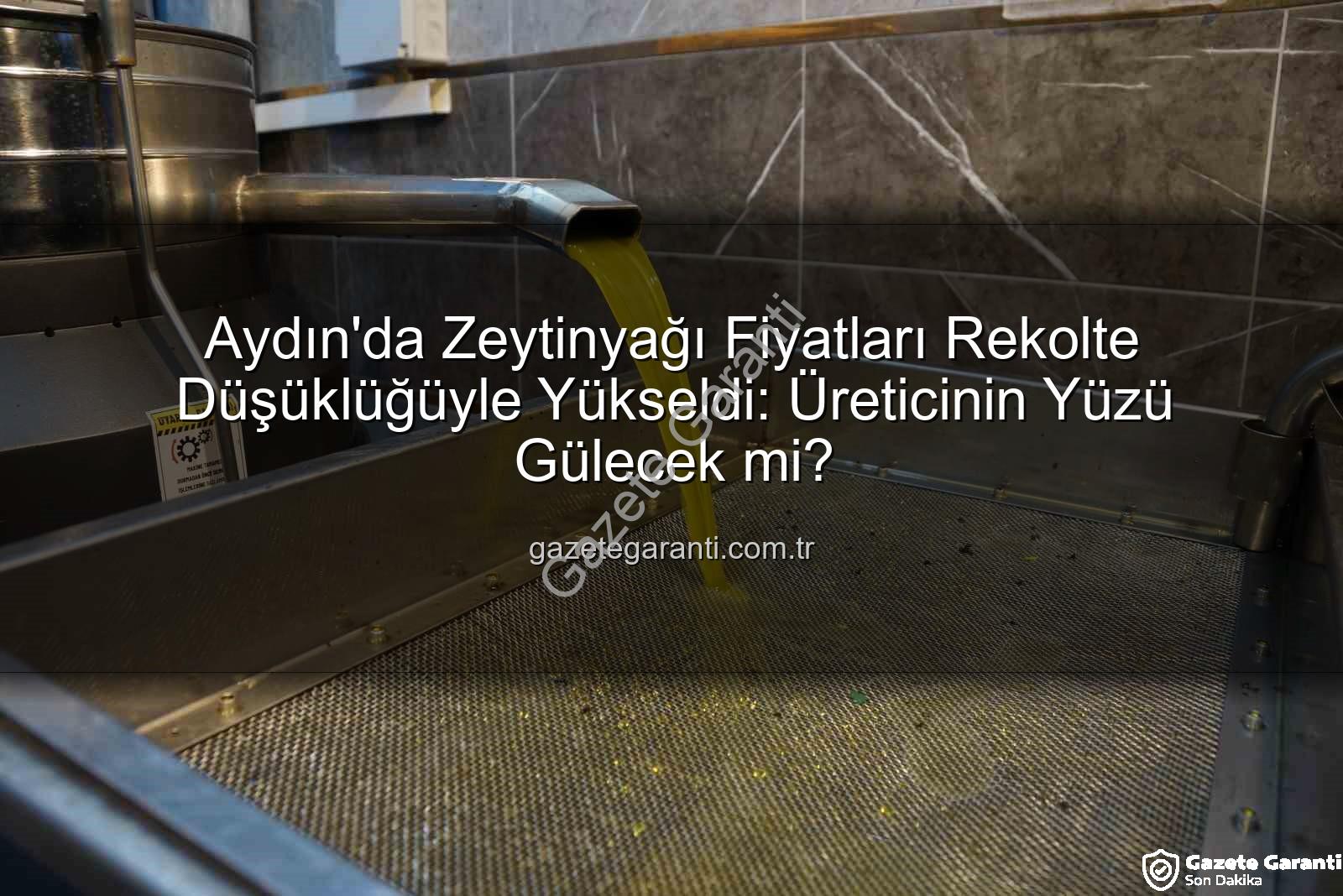 zeytinyağı fiyatları - Aydın'da Zeytinyağı Fiyatları Rekolte Düşüklüğüyle Yükseldi: Üreticinin Yüzü Gülecek mi?