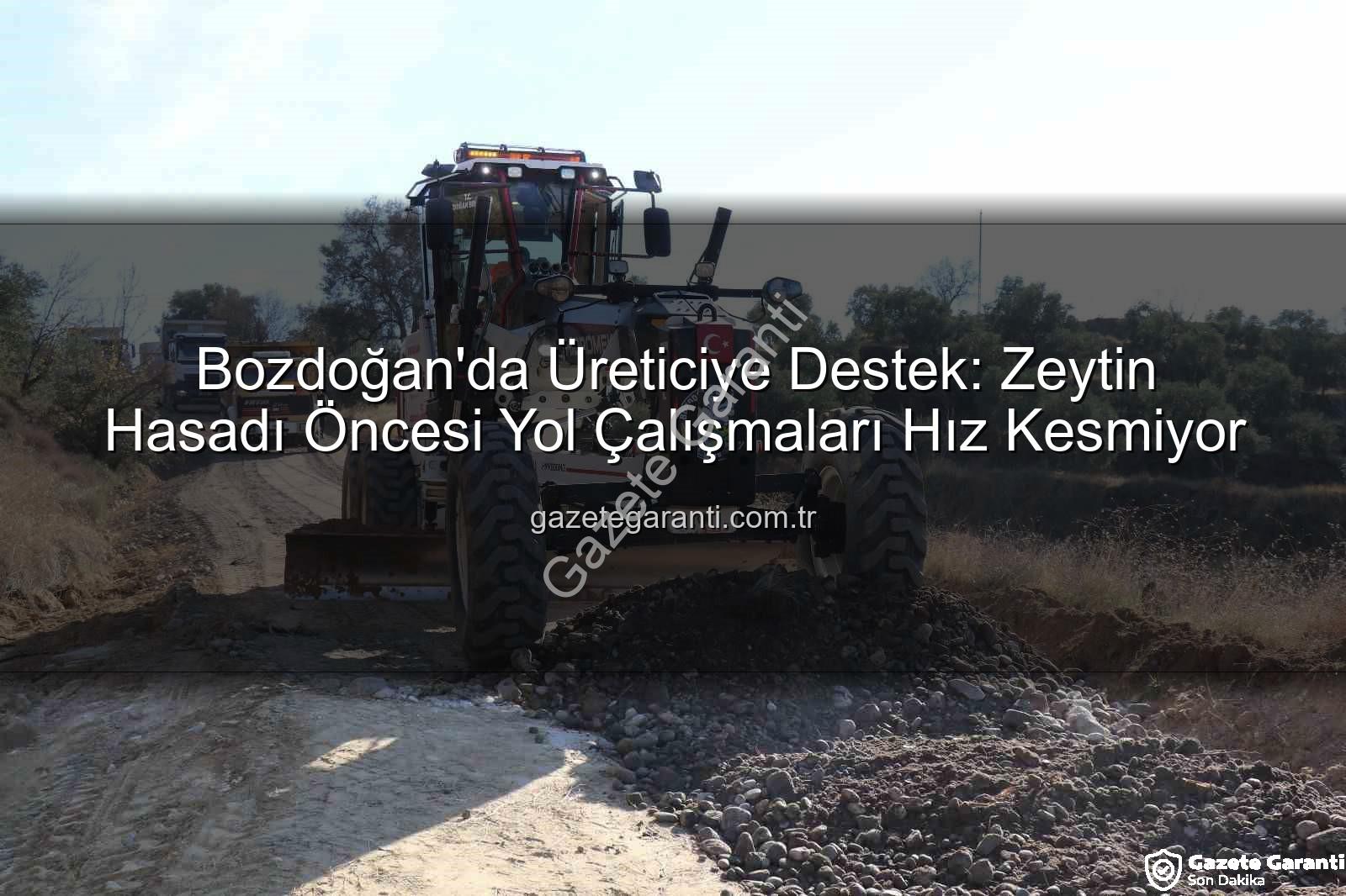 Bozdoğan yol çalışmaları - Bozdoğan'da Üreticiye Destek: Zeytin Hasadı Öncesi Yol Çalışmaları Hız Kesmiyor