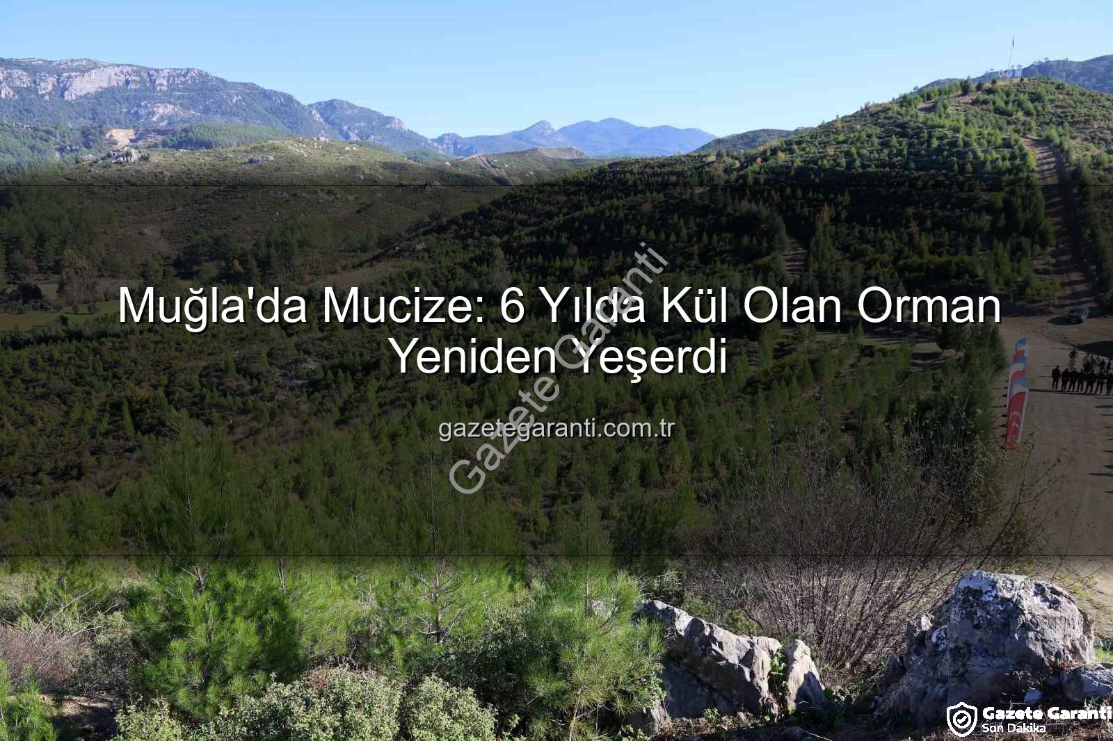 yaban hayatı - Muğla'da Mucize: 6 Yılda Kül Olan Orman Yeniden Yeşerdi