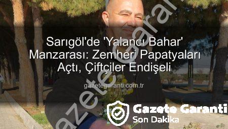 Sarıgöl’de ‘Yalancı Bahar’ Manzarası: Zemheri Papatyaları Açtı, Çiftçiler Endişeli